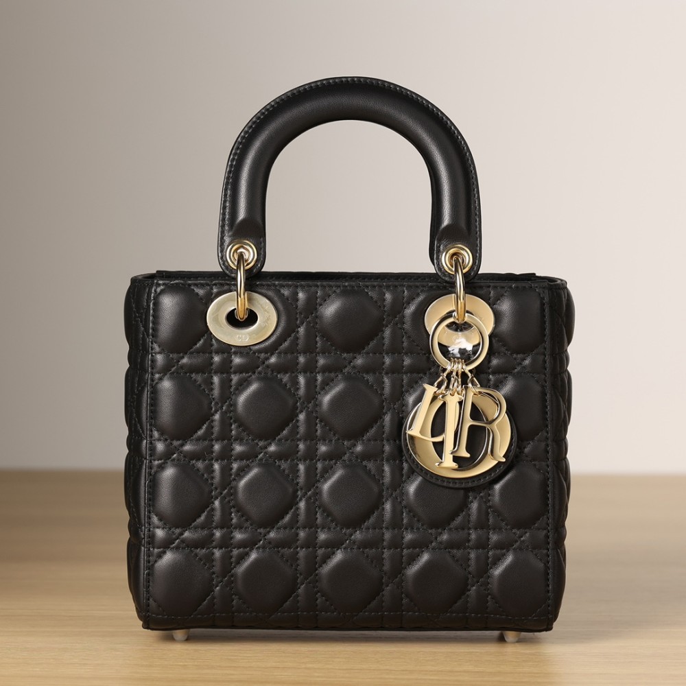 SMALL LADY DIOR MY ABCDIOR BAG SMALL LADY DIOR MY ABCDIOR BAG