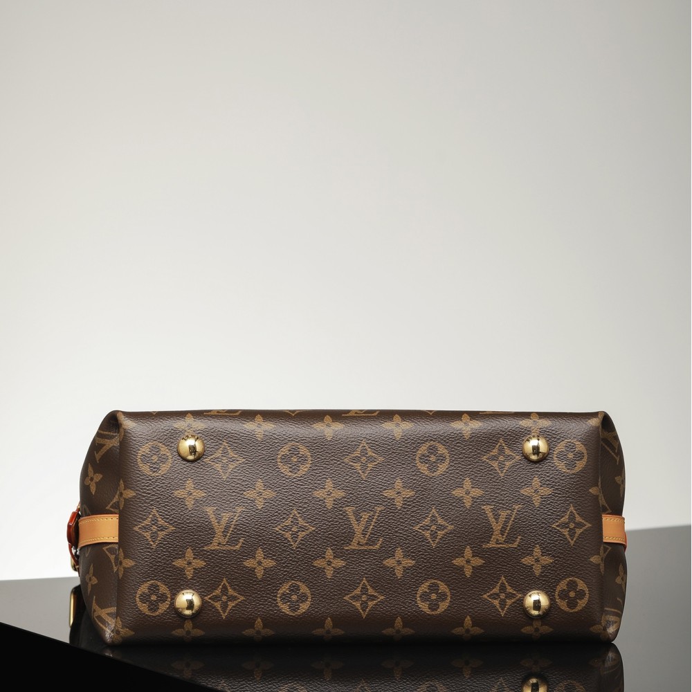 CarryAll PM CarryAll PM
