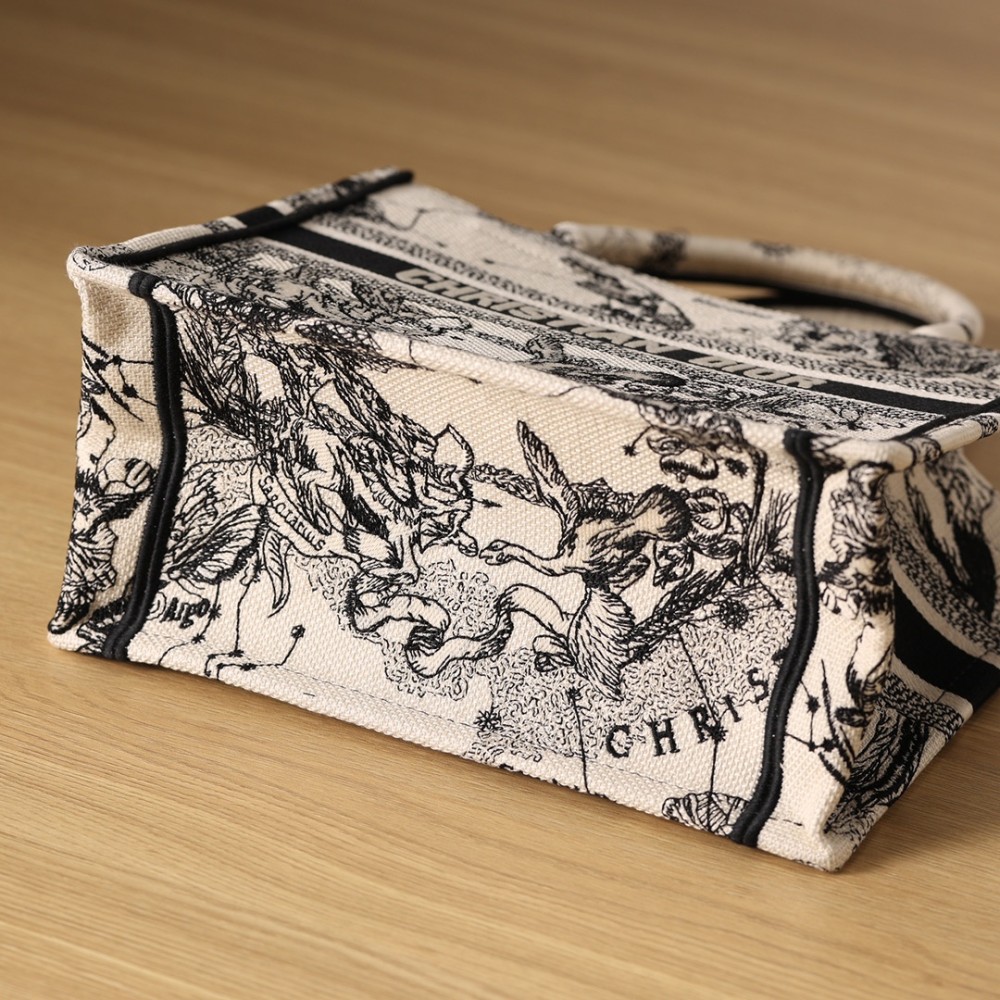 SMALL DIOR BOOK TOTE SMALL DIOR BOOK TOTE