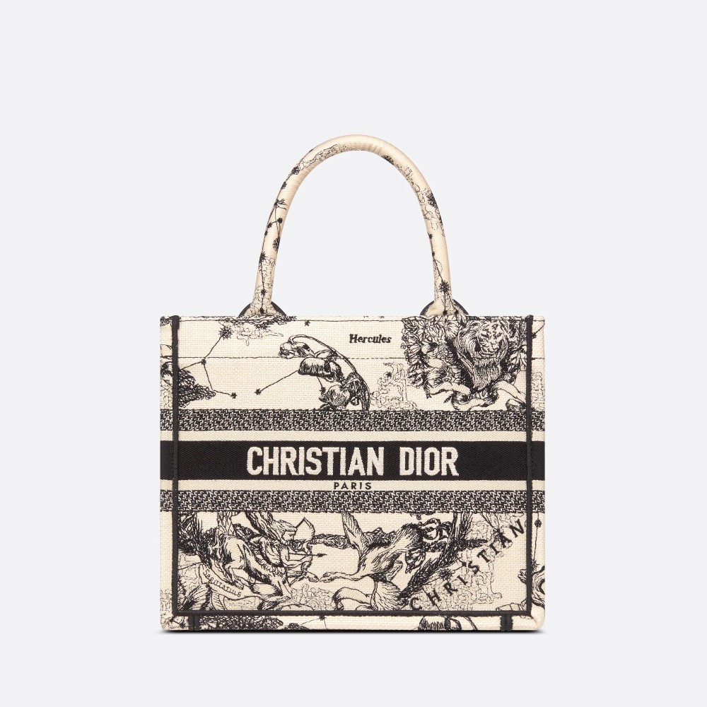 SMALL DIOR BOOK TOTE SMALL DIOR BOOK TOTE