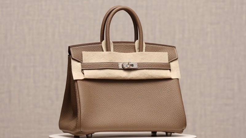 BIRKIN 25 ETOUPE TOGO H041344CK18 Details 3