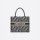 DIOR BOOK TOTE