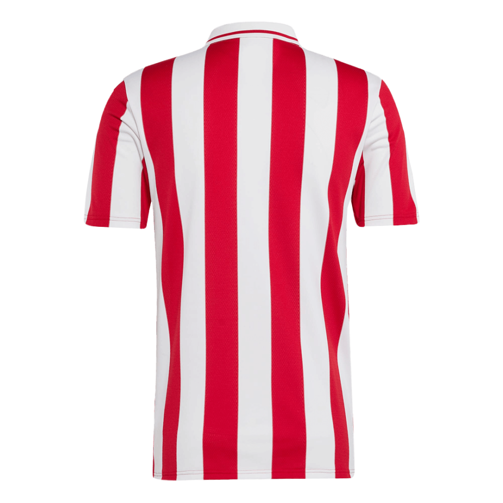Olympiacos Soccer Jersey 2024/25 - 100th Anniversary Olympiacos Soccer Jersey 2024/25 - 100th Anniversary