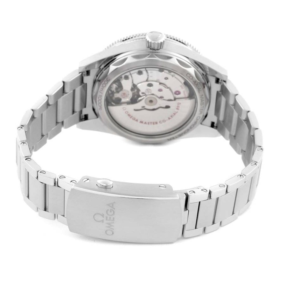 Omega Seamaster 300 Co-Axial Steel Mens Watch 234.30.41.21.01.001 Omega Seamaster 300 Co-Axial Steel Mens Watch 234.30.41.21.01.001